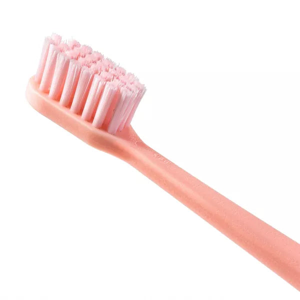 Manual Toothbrush - 2ct - Smartly